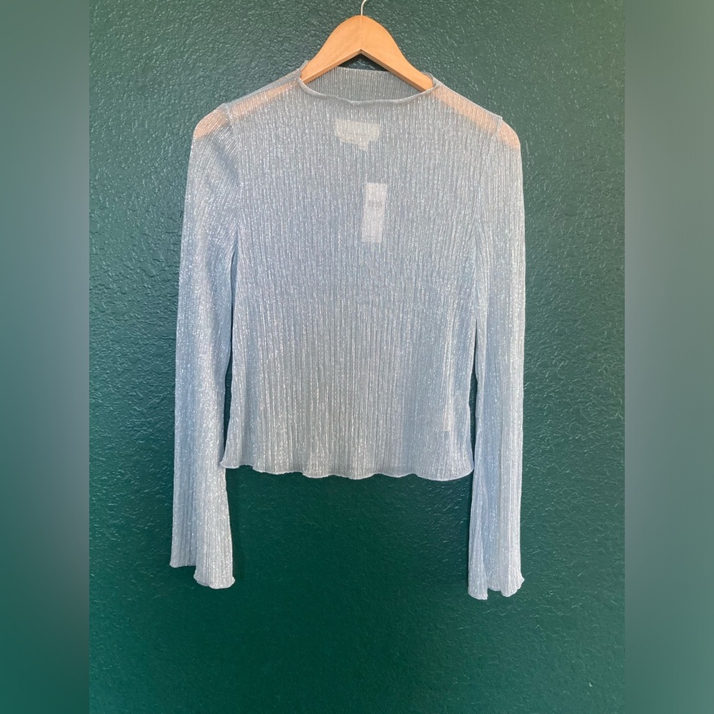 Anthropology _Sheer Elegant Silver/Blue Women's Top